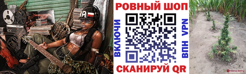 Все наркотики Макаров ГАШИШ Псилоцибиновые грибы COCAIN МДМА Мефедрон Каннабис Alpha-PVP
