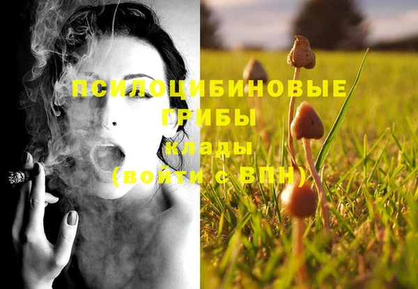 каннабис Лабытнанги