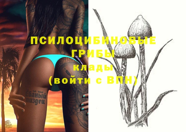 скорость Ладушкин