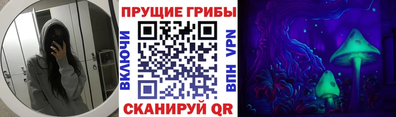 Галлюциногенные грибы Cubensis как найти Макаров
