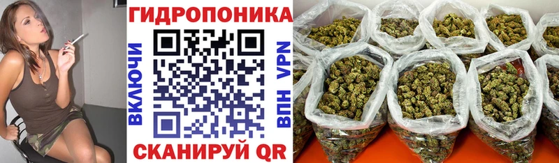 Конопля тримм  наркошоп  Макаров 